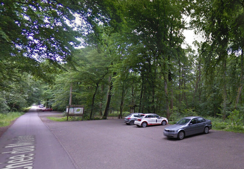 Forêt du Buchholz, Sarreguemines