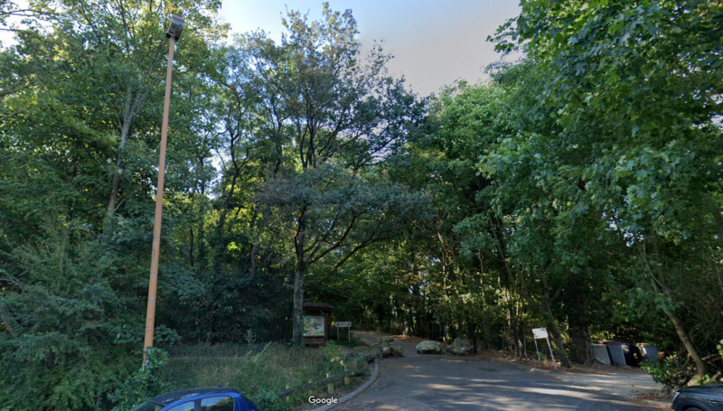 Bois de Verrières le Buisson