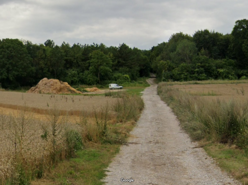 Chemin dans les bois -  Mont de Velennes Wailly