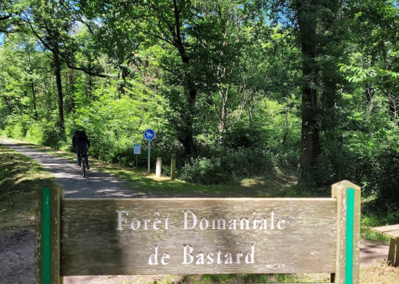 Foret de Bastard à PAU