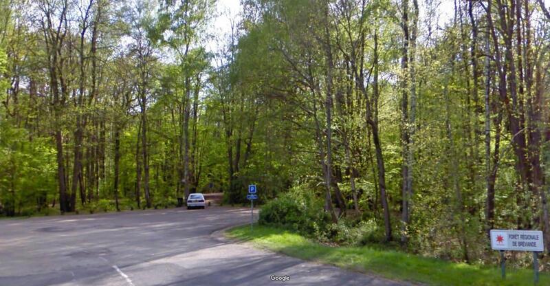 Forêt de Bréviande
