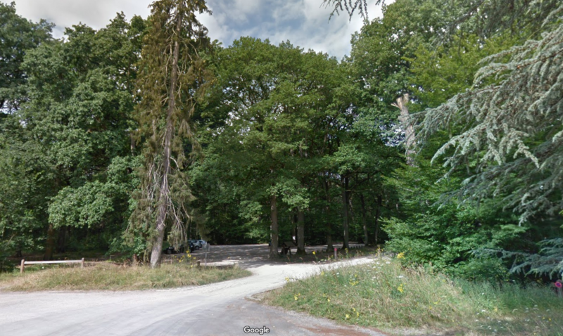 Forêt de Dourdan