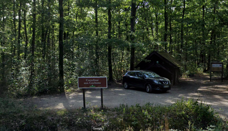 Forêt de Longuenée