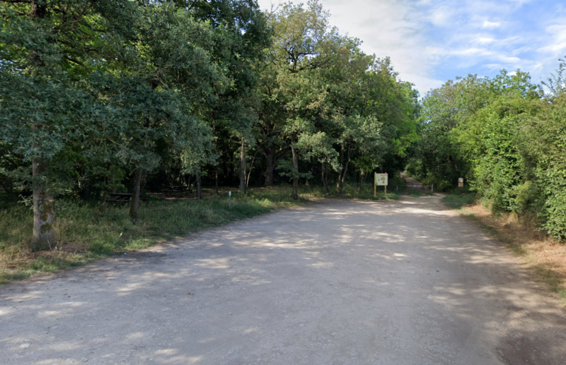 Forêt de Sainte-Gemme