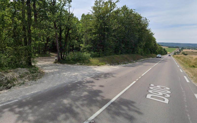 Forêt de Tonnerre sur la  D905