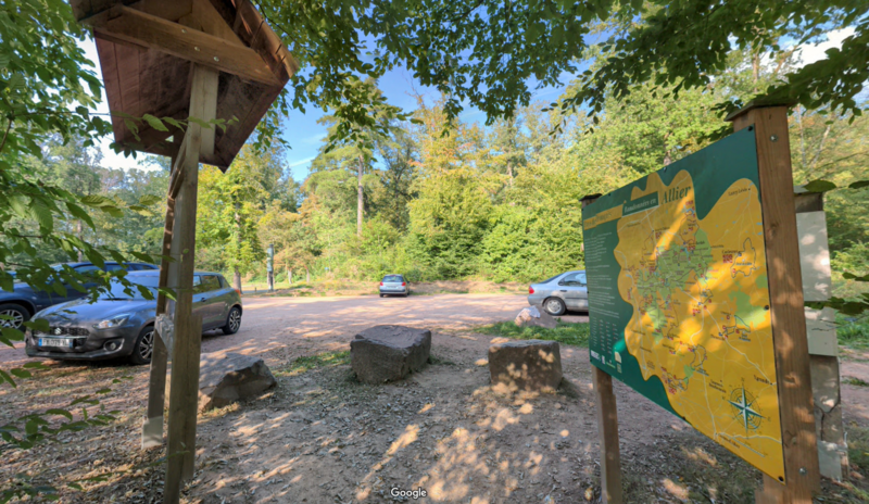 Forêt de Tronçais- Futaie Colbert