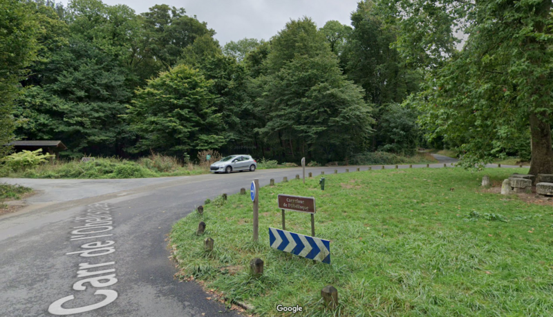 Forêt de Verrières