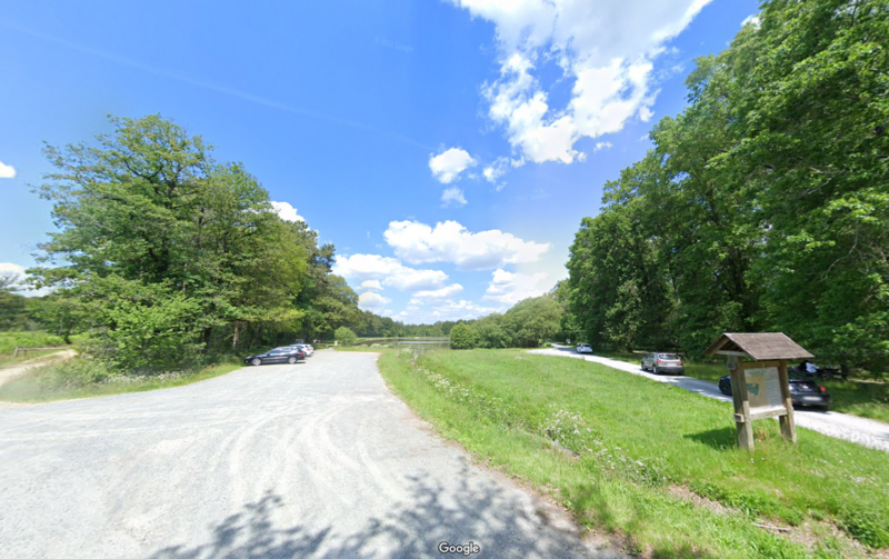 L'orée des bois verts