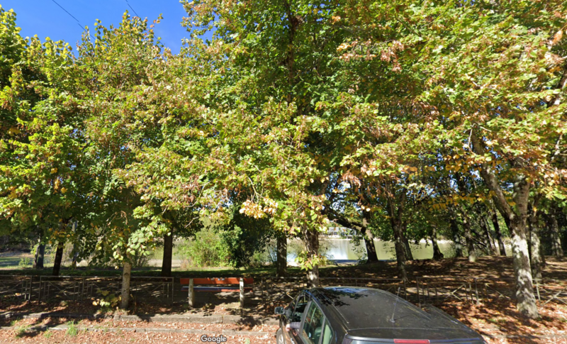 Lac de la Pinçonnière ou PARC DE L'ARROU à Blois