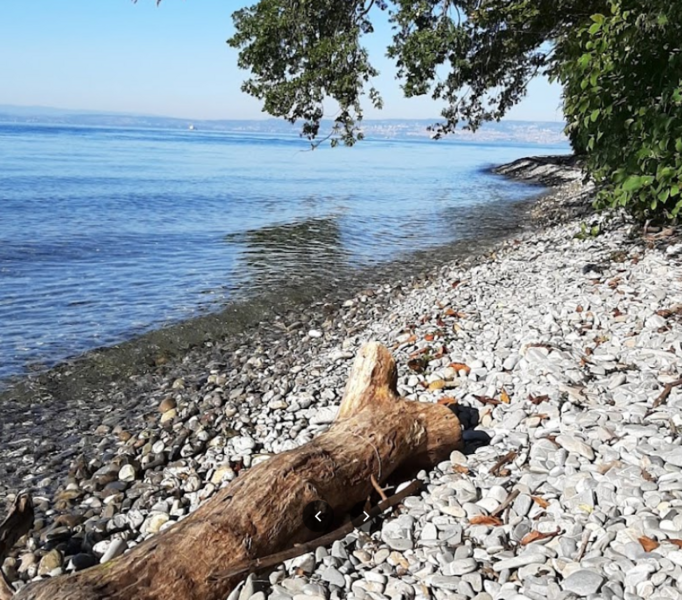 Plage naturiste de La Pinède de Thonon les bains